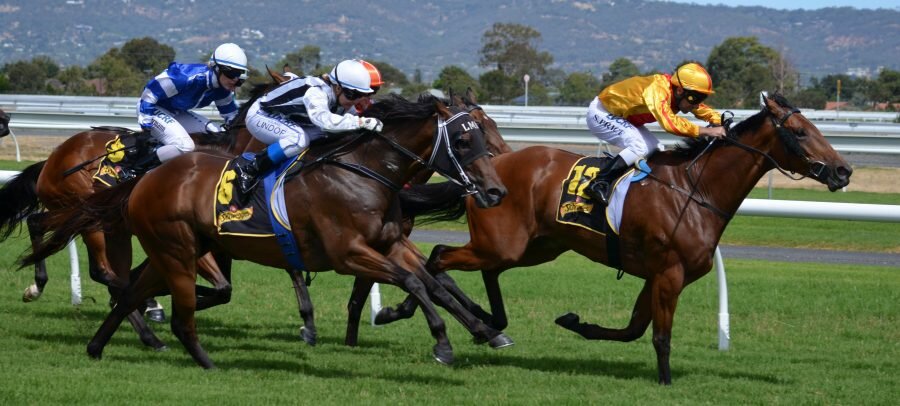 Horse racing contestants